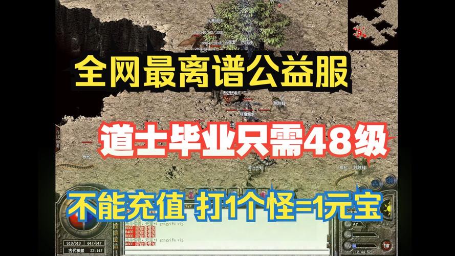 奇迹公益服_mu奇迹手游公益服_奇迹30公益课